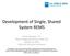Development of Single, Shared System REMS