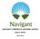 NAVIGANT CORPORATE ADVISORS LIMITED ANNUAL REPORT