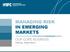MANAGING RISK IN EMERGING MARKETS OUR CORE BUSINESS FISCAL YEAR 2013