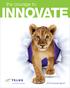 the courage to INNOVATE 2010 annual report