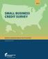 SMALL BUSINESS CREDIT SURVEY