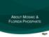 ABOUT MOSAIC & FLORIDA PHOSPHATE