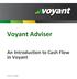 Voyant Adviser An Introduction to Cash Flow in Voyant