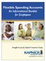 Flexible Spending Accounts An Informational Booklet for Employees
