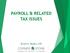 PAYROLL & RELATED TAX ISSUES. Bruce A. Beyler, CPA