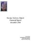 Tacoma Narrows Airport Financial Report December 2008