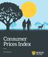 Consumer Prices Index. Factsheet