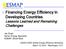 Financing Energy Efficiency in Developing Countries Lessons Learned and Remaining Challenges
