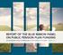 REPORT OF THE BLUE RIBBON PANEL ON PUBLIC PENSION PLAN FUNDING