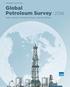 Global Petroleum Survey 2016