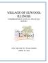 VILLAGE OF ELWOOD, ILLINOIS COMPREHENSIVE ANNUAL FINANCIAL REPORT