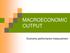 MACROECONOMIC OUTPUT. Economy performance measurement