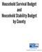 Household Survival Budget and Household Stability Budget by County