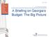 A Briefing on Georgia s Budget: The Big Picture