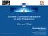 European Commission perspective on Joint Programming - Why and What