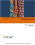 Exploring Issues of Resilience with Women in Rural Burkina Faso: A Formative Research Brief Bobbi Gray and Megan Gash August 2014