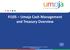 FI105 Umoja Cash Management and Treasury Overview. Umoja Cash Management and Treasury Overview Version 16 1