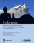 Indonesia. Advancing a National Disaster Risk Financing Strategy Options for Consideration. October 2011