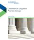 Commercial Litigation Practice Group. Practice Overview