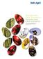 Increasing Our Diversity Enhancing Our Growth. INDOFOOD AGRI RESOURCES LTD. Annual Report 2010