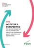 THE INVESTOR S PERSPECTIVE
