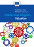 Intellectual Property Valuation