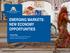 EMERGING MARKETS: NEW ECONOMY OPPORTUNITIES