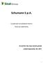 Schumann S.p.A. Condensed consolidated interim financial statements