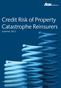 Credit Risk of Property Catastrophe Reinsurers