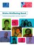 Wales Wellbeing Bond. Transforming public services together