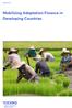 REPORT 2017:02. Mobilizing Adaptation Finance in Developing Countries