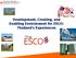 Development, Creating, and Enabling Environment for ESCO: Thailand s Experiences