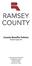 County Benefits Policies Adopted August 1993