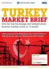 MARKET BRIEF. How far has the energy and infrastructure finance market come in 10 years?