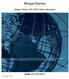 Morgan Stanley ETF-MAP 2 Index Information