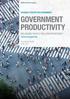 GOVERNMENT PRODUCTIVITY