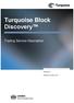 Turquoise Block Discovery