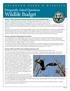 Wildlife Budget. Frequently Asked Questions