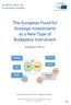 The European Fund for Strategic Investments as a New Type of Budgetary Instrument