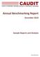 Annual Benchmarking Report