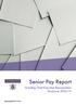 Senior Pay Report. Including Chief Executive Remuneration Disclosure 2016/17