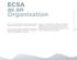 ECSA as an Organisation