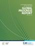 SUSTAINABLE BANKING NETWORK (SBN) GLOBAL PROGRESS REPORT