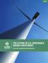 THE FUTURE OF U.S. RENEWABLE ENERGY INVESTMENT. A Survey of Leading Financial Institutions