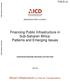 Financing Public Infrastructure in Sub-Saharan Africa: Patterns and Emerging Issues
