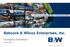 Babcock & Wilcox Enterprises, Inc. Company Overview March 2018