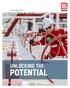 Annual Report 2017 UNLOCKING THE POTENTIAL