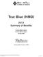 True Blue (HMO) 2013 Summary of Benefits. True Blue (HMO) Rx Option I True Blue (HMO) Rx Option II True Blue (HMO) Serving Select Counties in Idaho