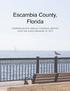 ESCAMBIA COUNTY, FLORIDA COMPREHENSIVE ANNUAL FINANCIAL REPORT