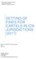 SETTING OF FINES FOR CARTELS IN ICN JURISDICTIONS (2017)